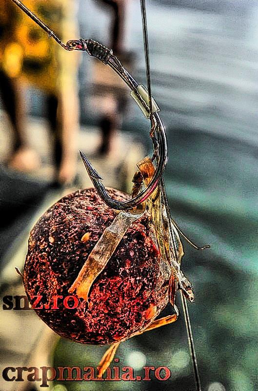 Senior Trophy (3) - 2013 - 1012861hdrmode3.jpg